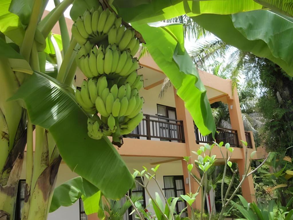 Khaolak Palm Hill Resort Khao Lak Ngoại thất bức ảnh